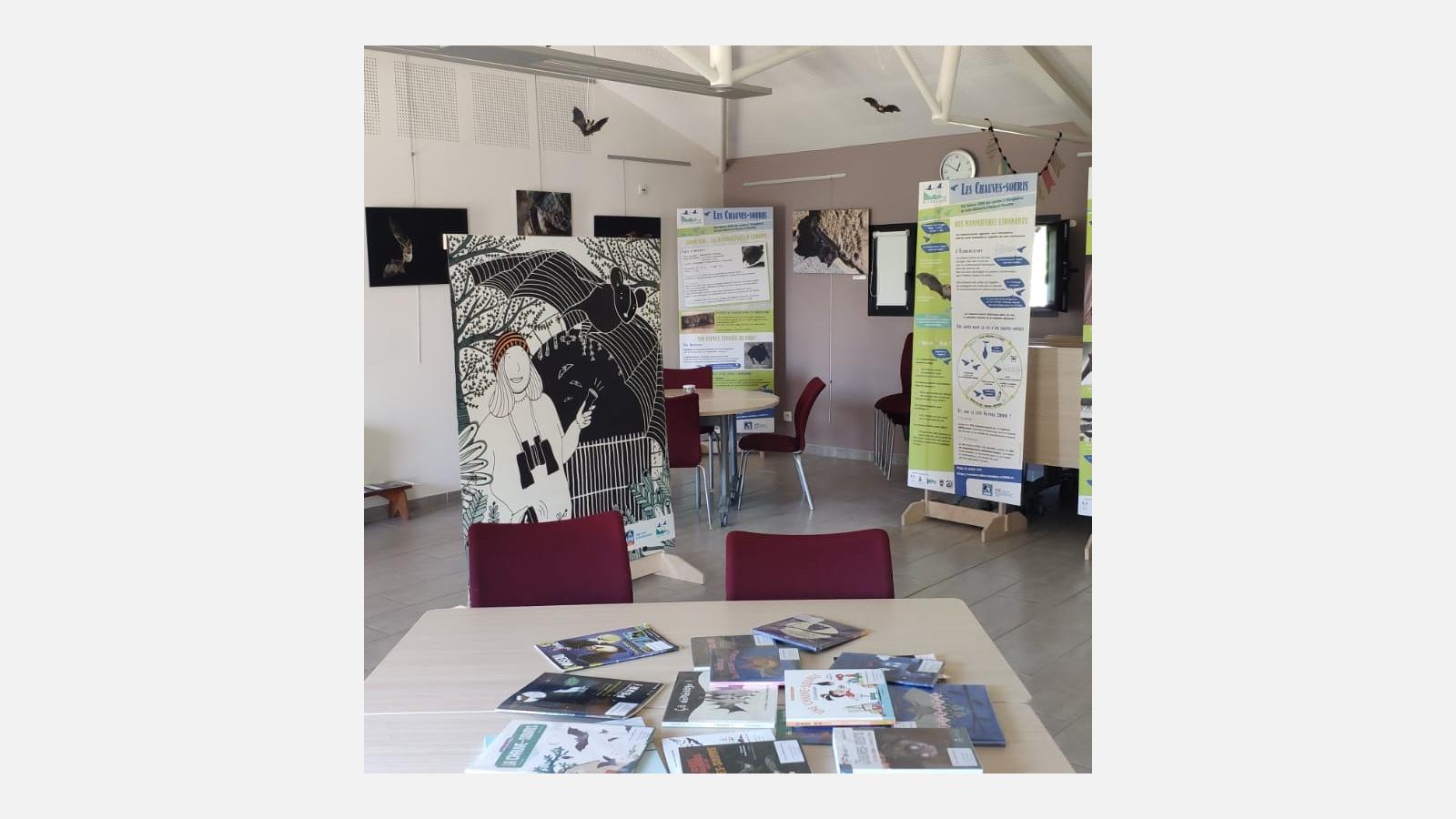 Exposition sur les chauves-souris du sud Vendée - Photo © LPO Vendée