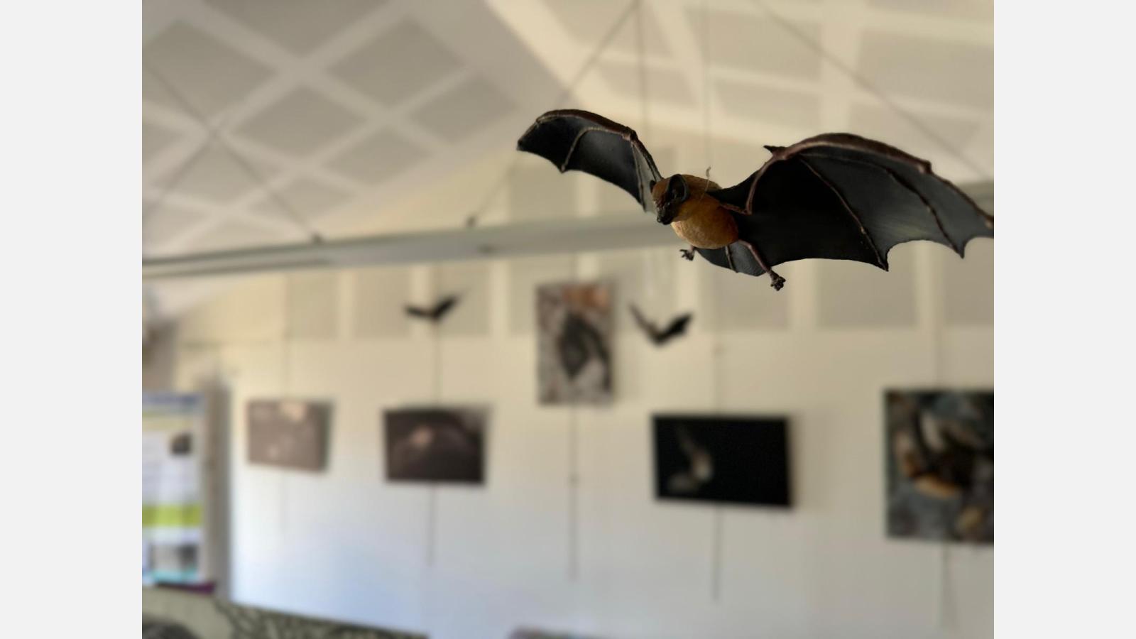 Exposition sur les chauves-souris du sud Vendée - figurine 3D - Photo © LPO Vendée