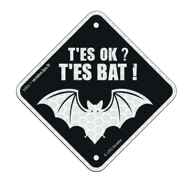 T'es OK ? T'es BAT !